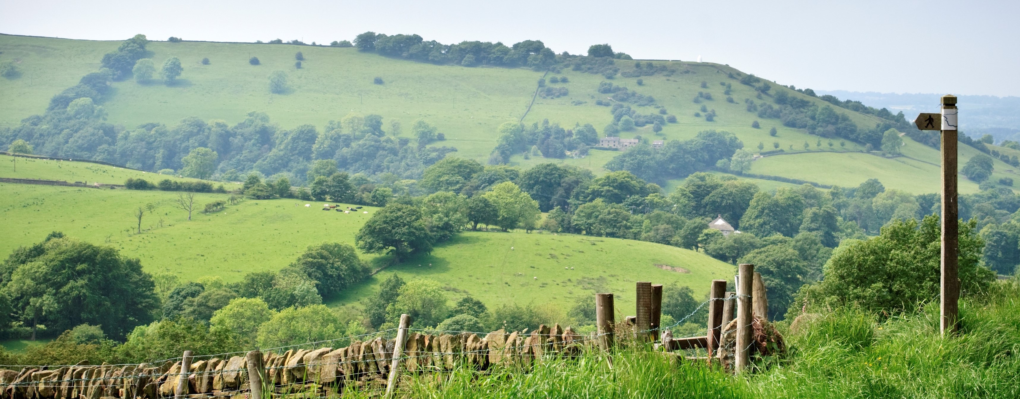 Landscape And Signpost Cheshire East