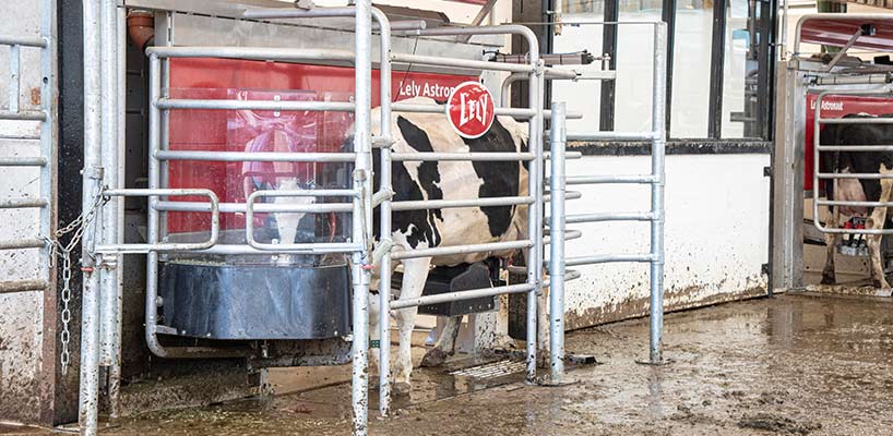12 Reaseheath Centre For Dairy Automation And Robotic Milking (1)