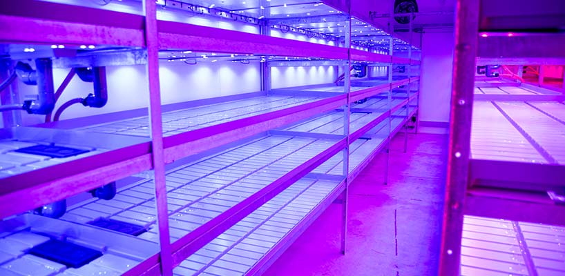 11 Reaseheath Vertical Farming Centre