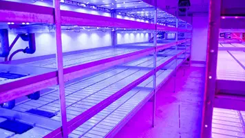 11 Reaseheath Vertical Farming Centre